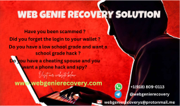 WEB GENIE RECOVERY SOLUTION.png