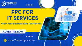 PPC for IT services (3).png